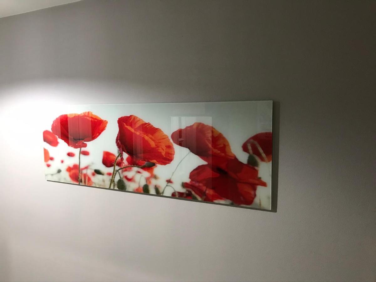 Апартаменти Flanders Fields Дінгволл Екстер'єр фото